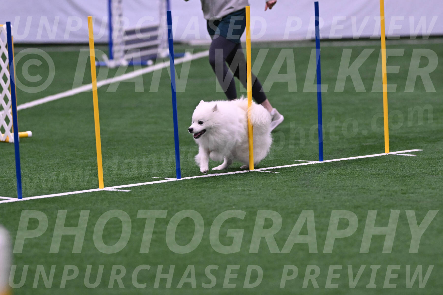Yeti-Glenn-Rawsky-06772