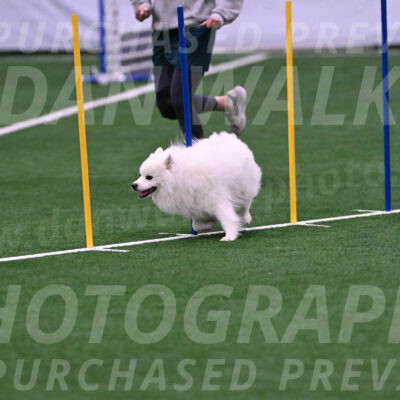 Yeti-Glenn-Rawsky-06774