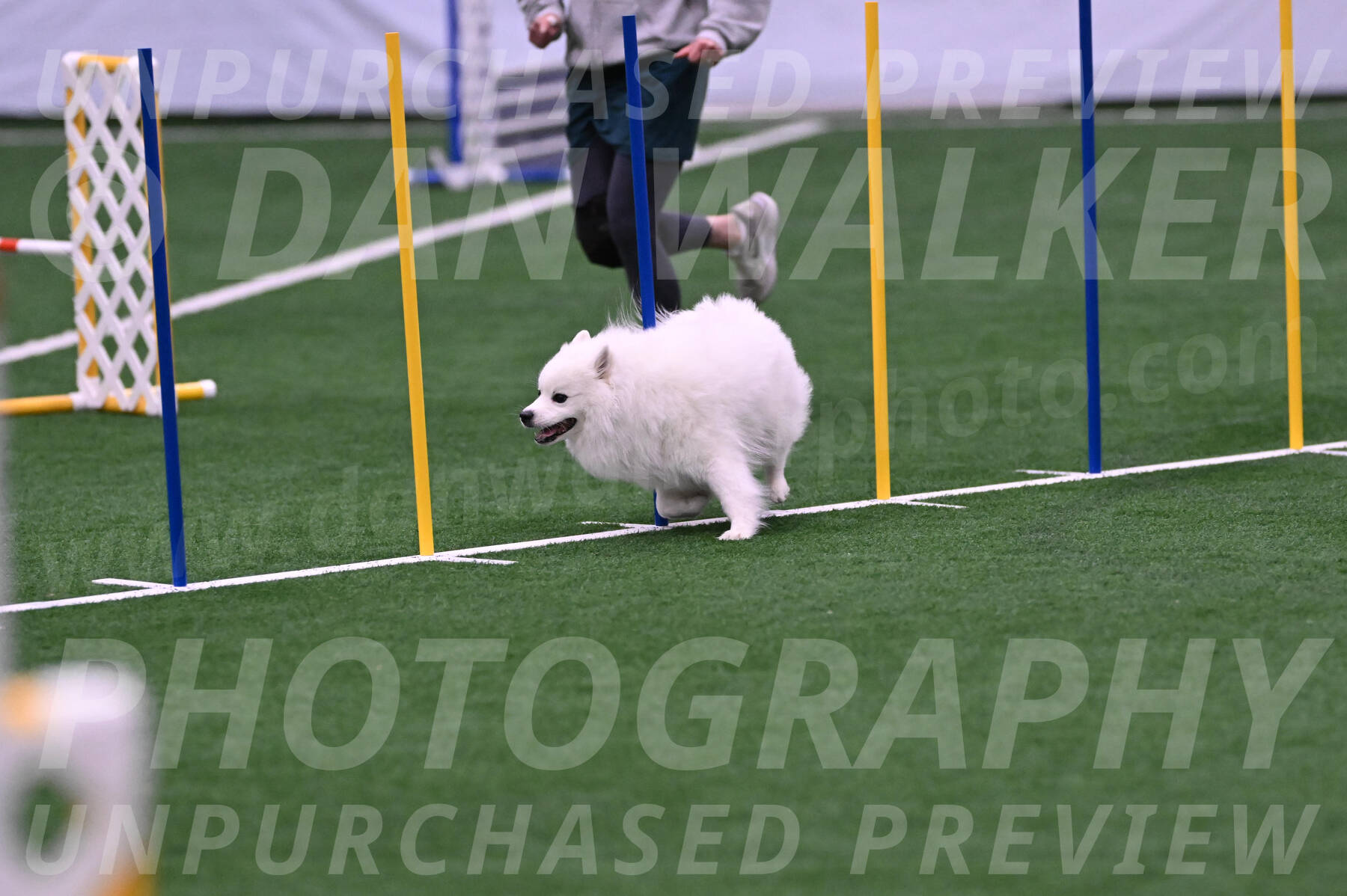 Yeti-Glenn-Rawsky-06774