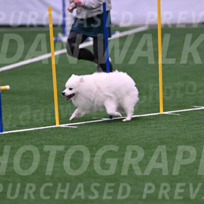 Yeti-Glenn-Rawsky-06775