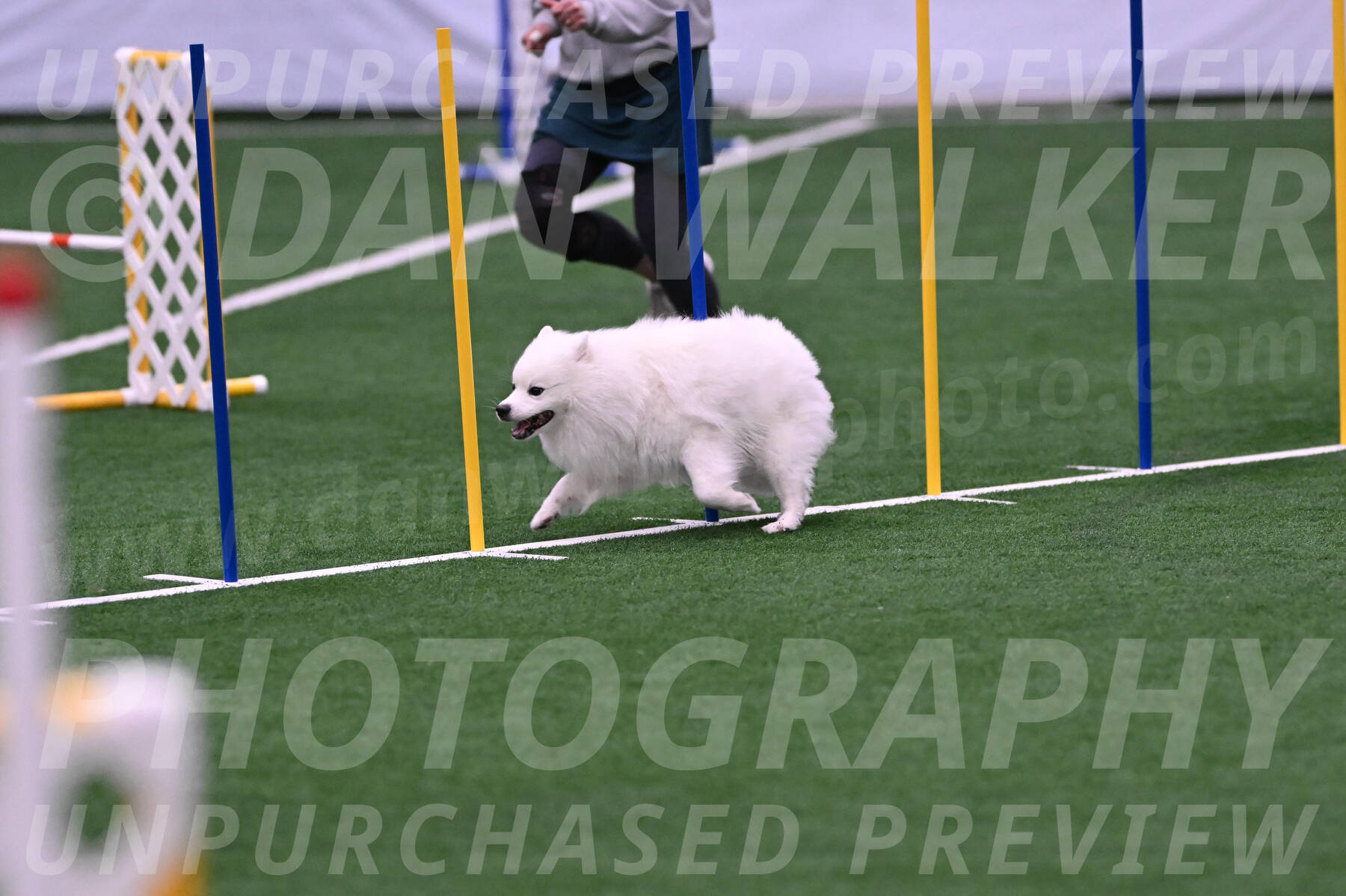 Yeti-Glenn-Rawsky-06775