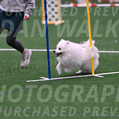 Yeti-Glenn-Rawsky-06786