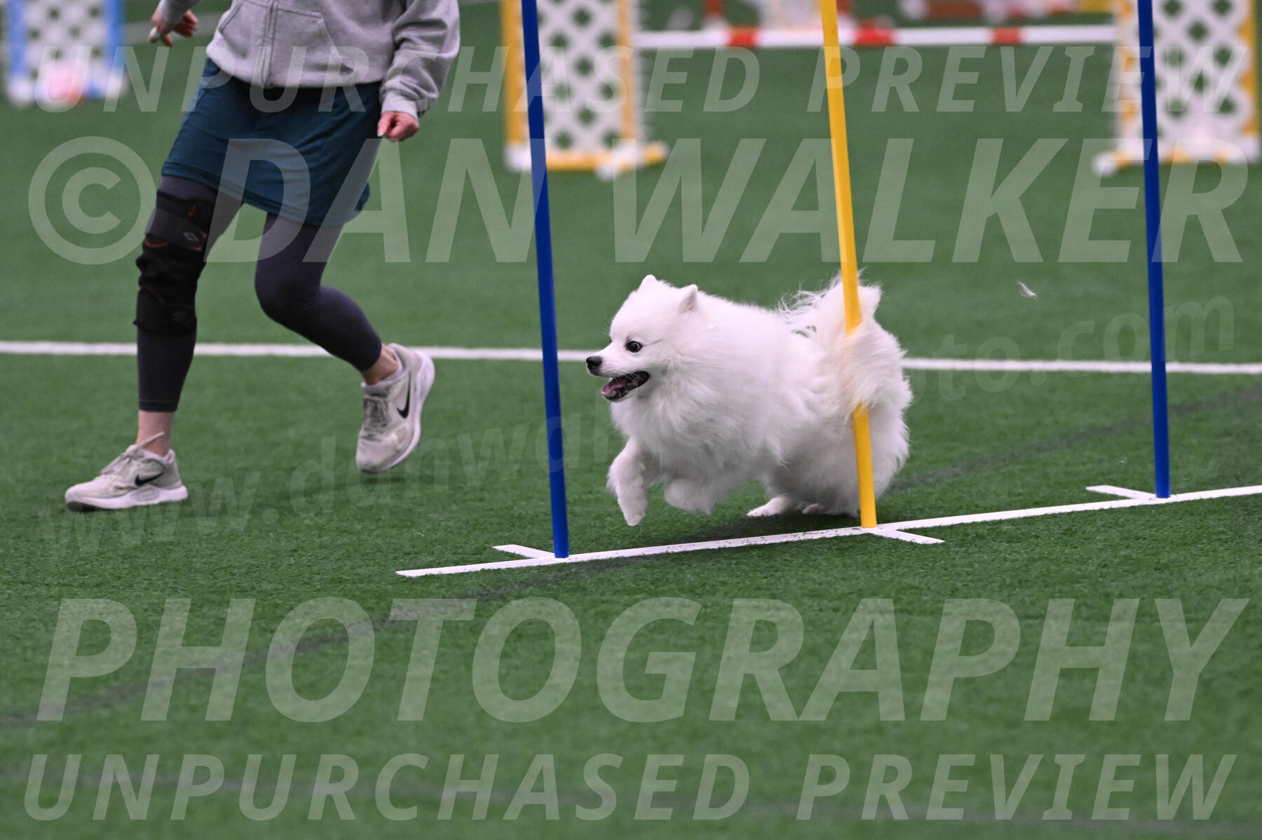 Yeti-Glenn-Rawsky-06786