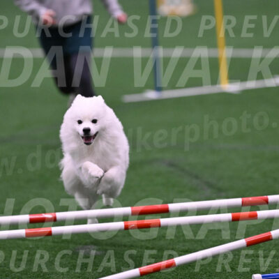 Yeti-Glenn-Rawsky-06792