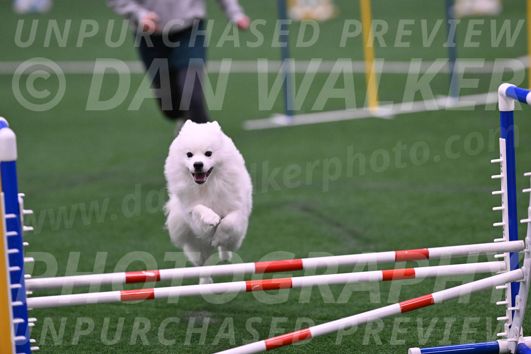 Yeti-Glenn-Rawsky-06792