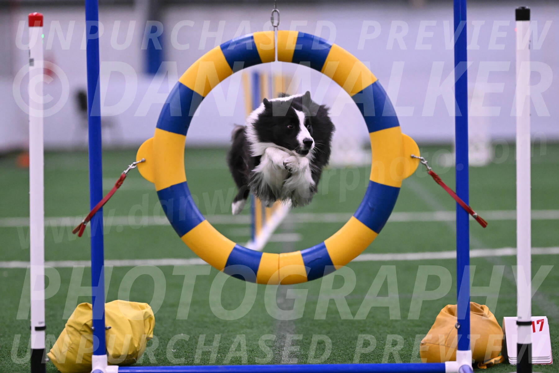 22791