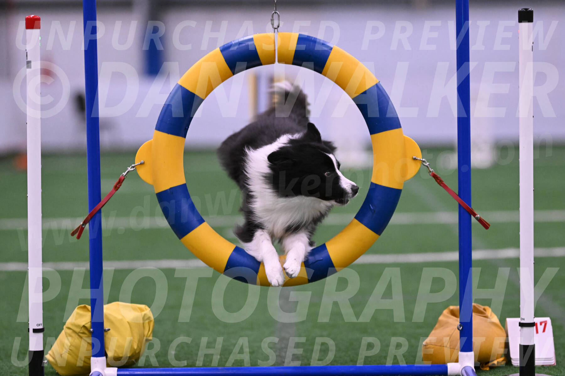22793