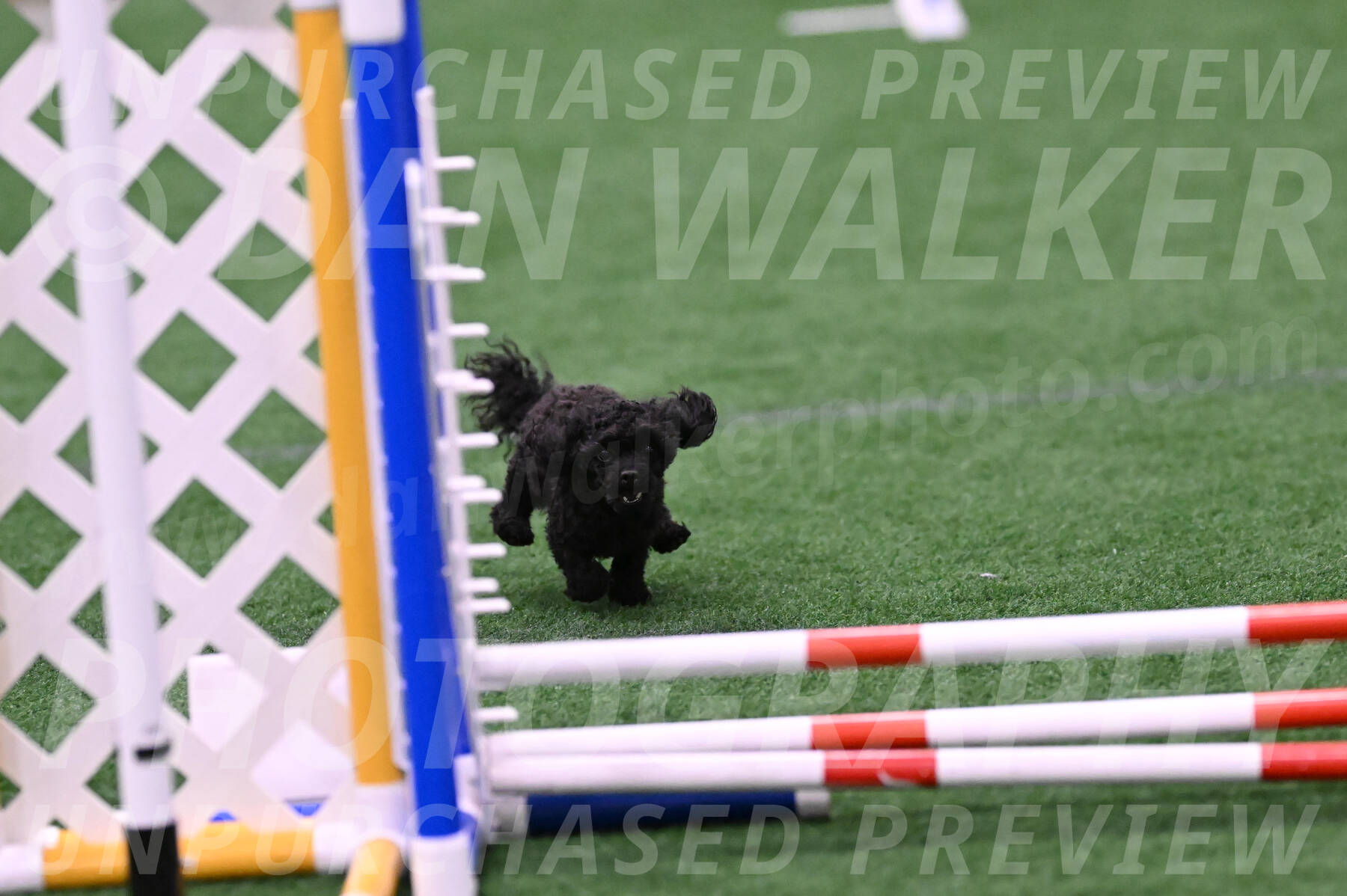22886