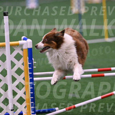 Zigzag-Maria-Duthie-09661