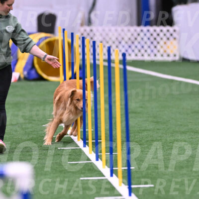 Zippity-Christine-Nemeth-24199