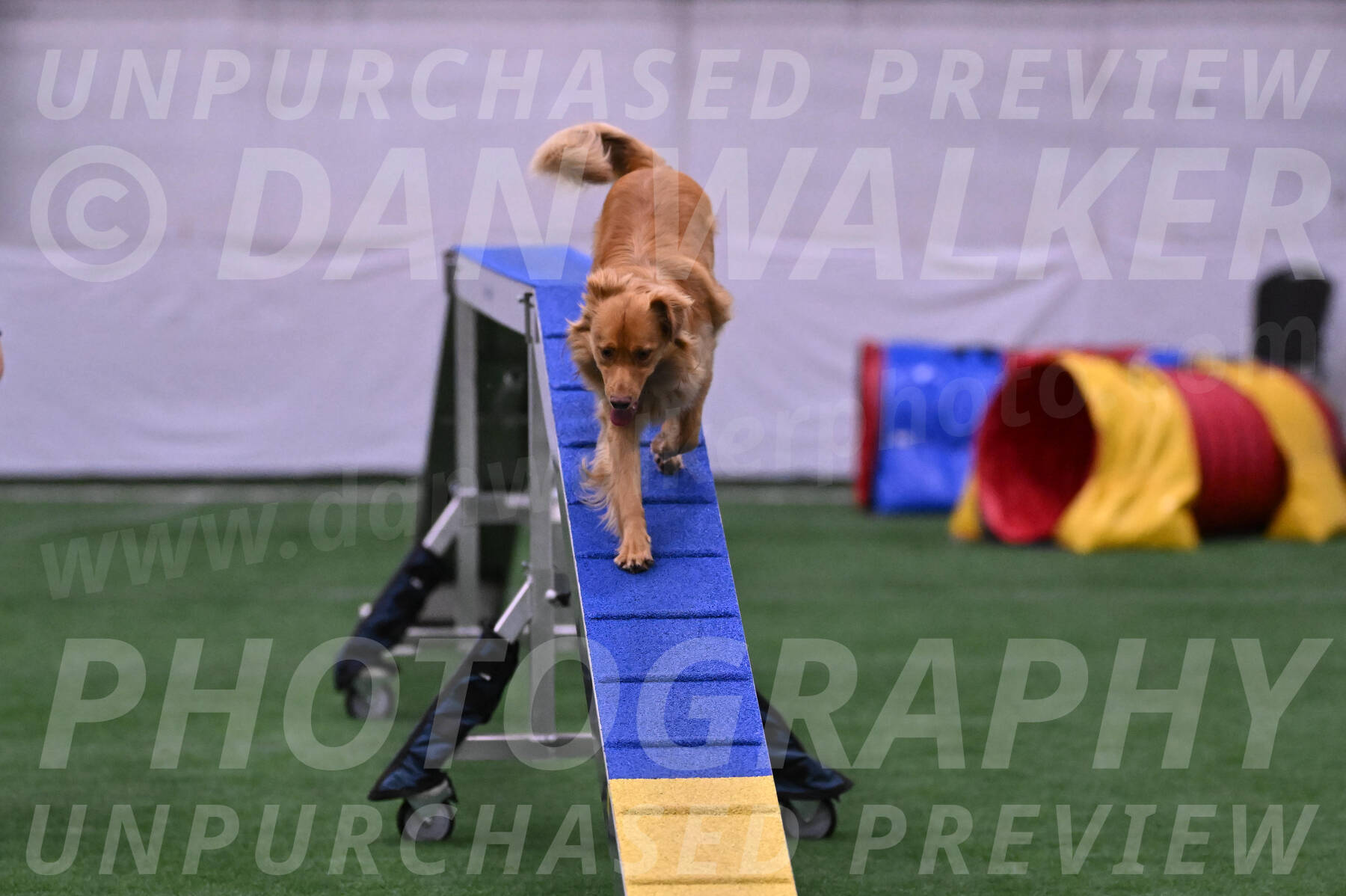 Zippity-Christine-Nemeth-24295