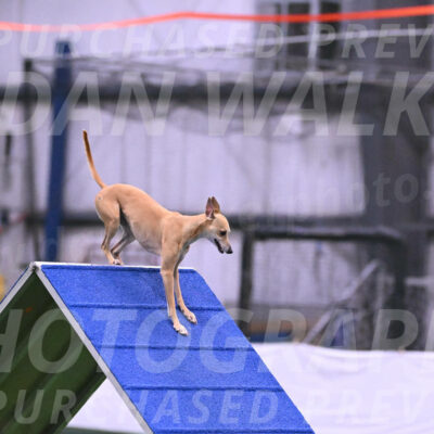 Zuzu-Julie-Weir-13371