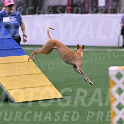 Zuzu-Julie-Weir-13374