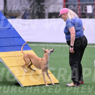 Zuzu-Julie-Weir-13375