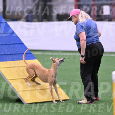 Zuzu-Julie-Weir-13376