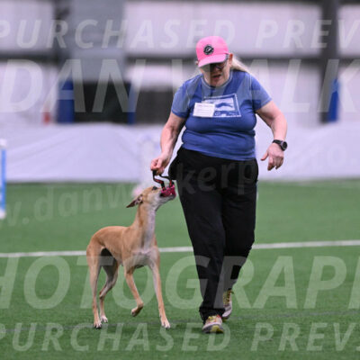 Zuzu-Julie-Weir-13381