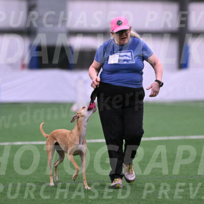 Zuzu-Julie-Weir-13382