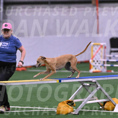 Zuzu-Julie-Weir-13388