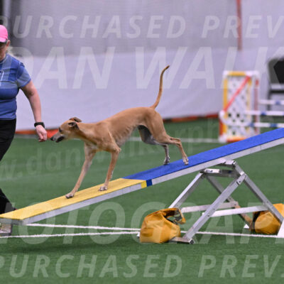 Zuzu-Julie-Weir-13389
