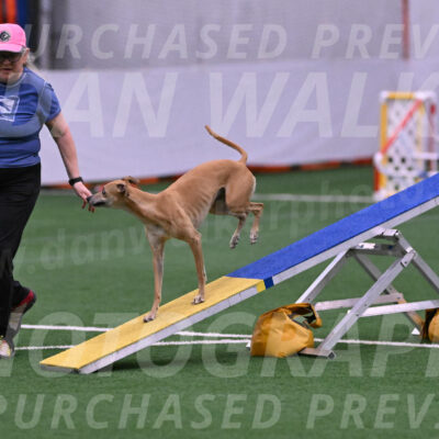 Zuzu-Julie-Weir-13390
