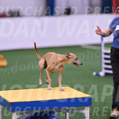 Zuzu-Julie-Weir-13395