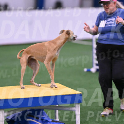 Zuzu-Julie-Weir-13397