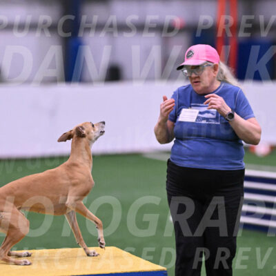 Zuzu-Julie-Weir-13398