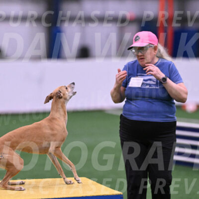 Zuzu-Julie-Weir-13399