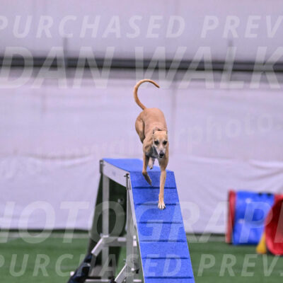 Zuzu-Julie-Weir-13402