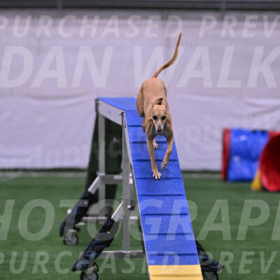 Zuzu-Julie-Weir-13404