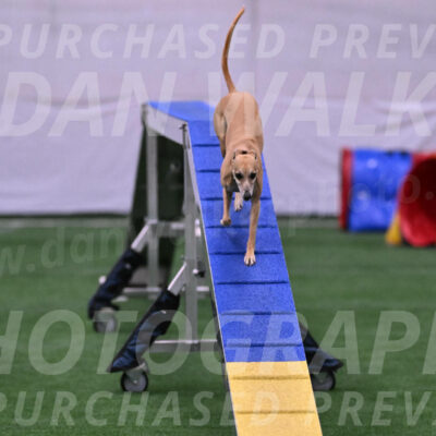 Zuzu-Julie-Weir-13405