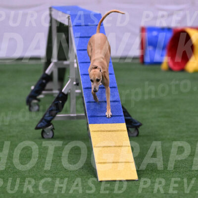 Zuzu-Julie-Weir-13406