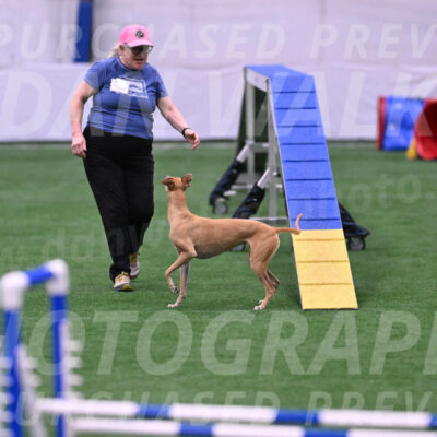 Zuzu-Julie-Weir-13412