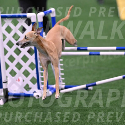 Zuzu-Julie-Weir-13416