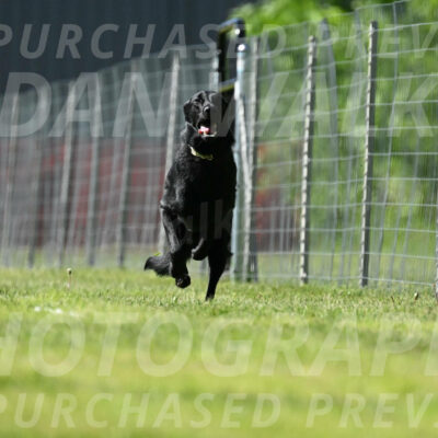 SAT_2747