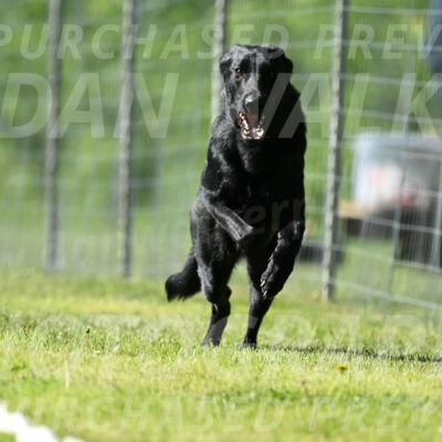 SAT_2764