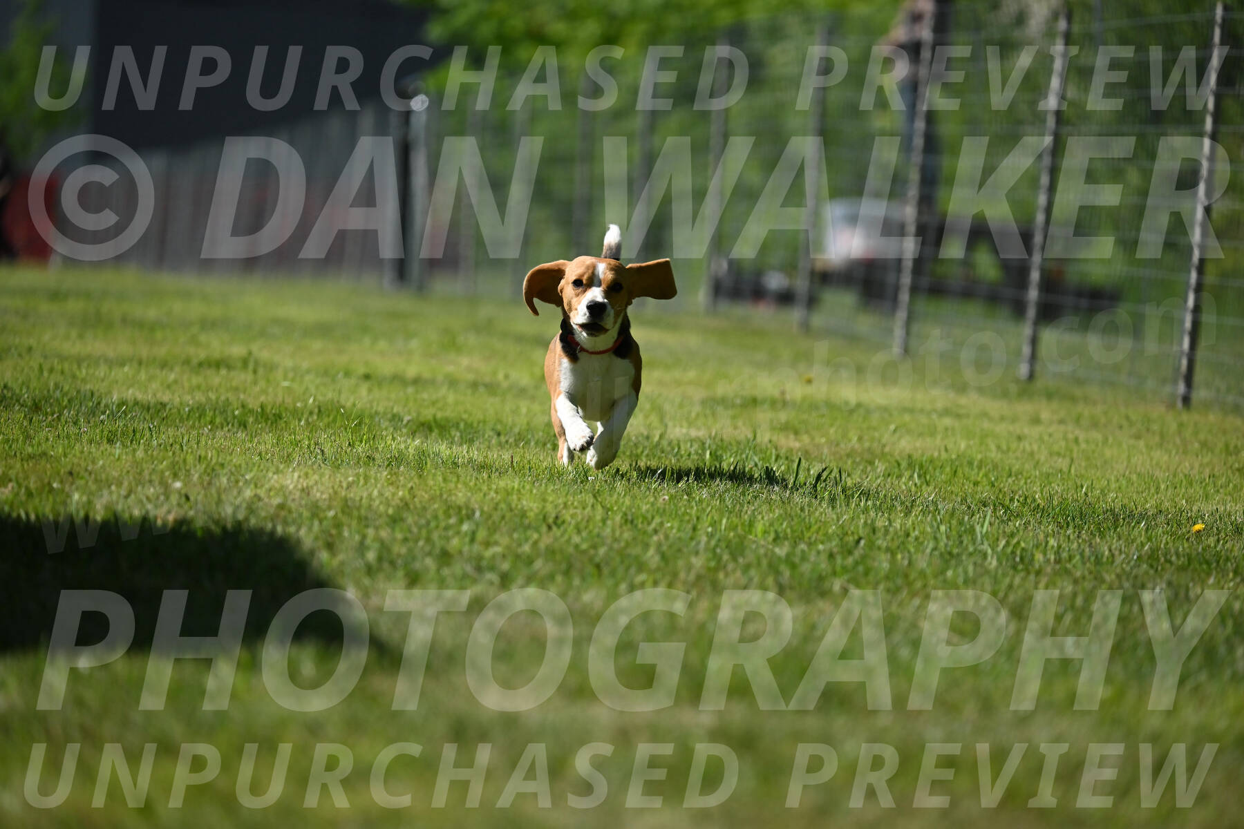 SAT_3368