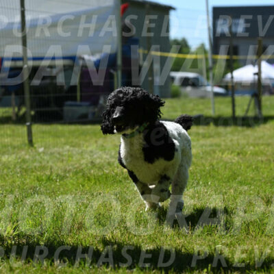 SUN_2919