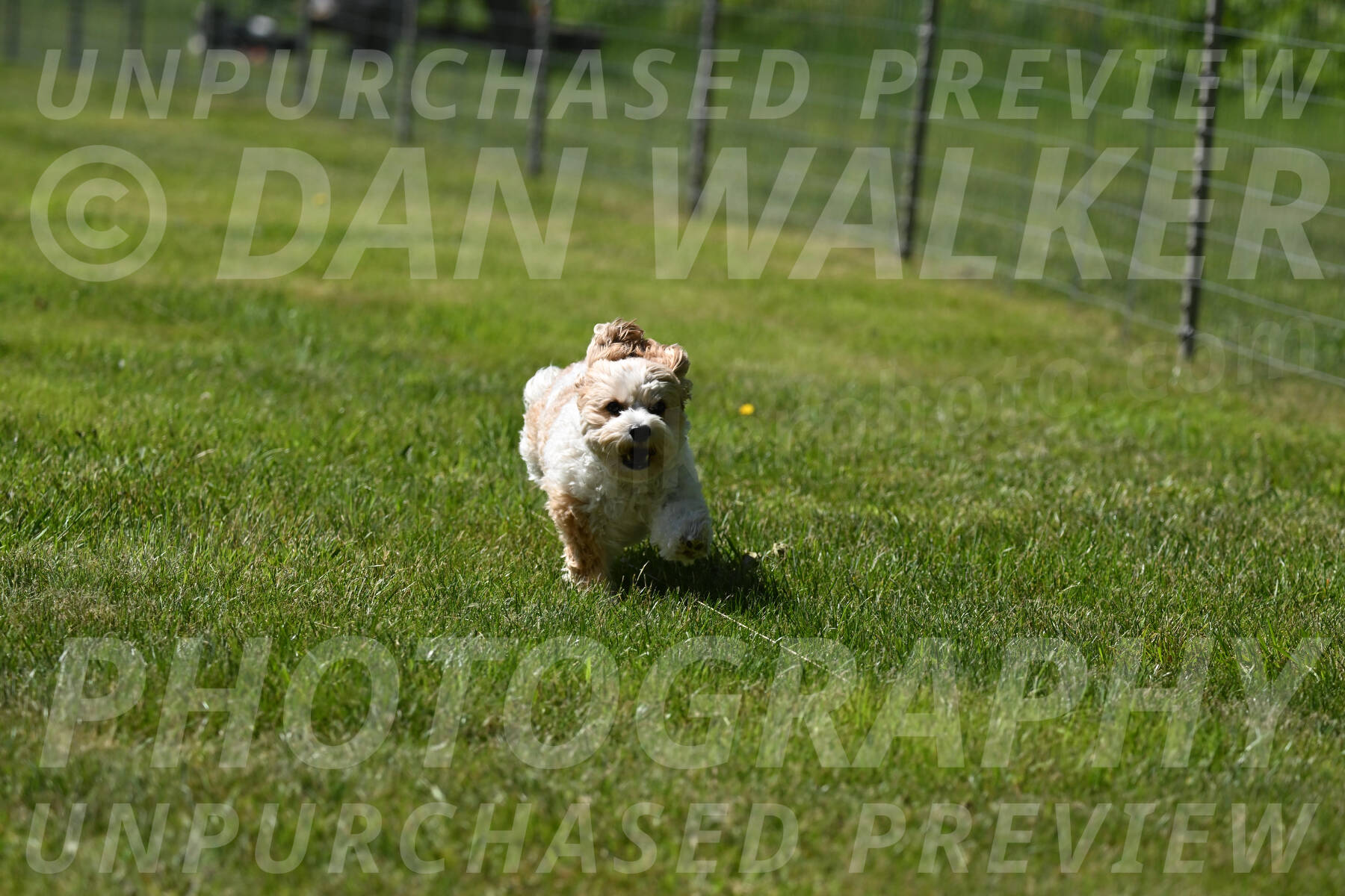 SAT_1323