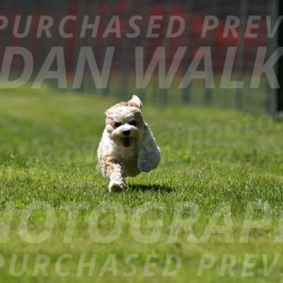 SAT_2569