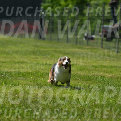 SAT_1841