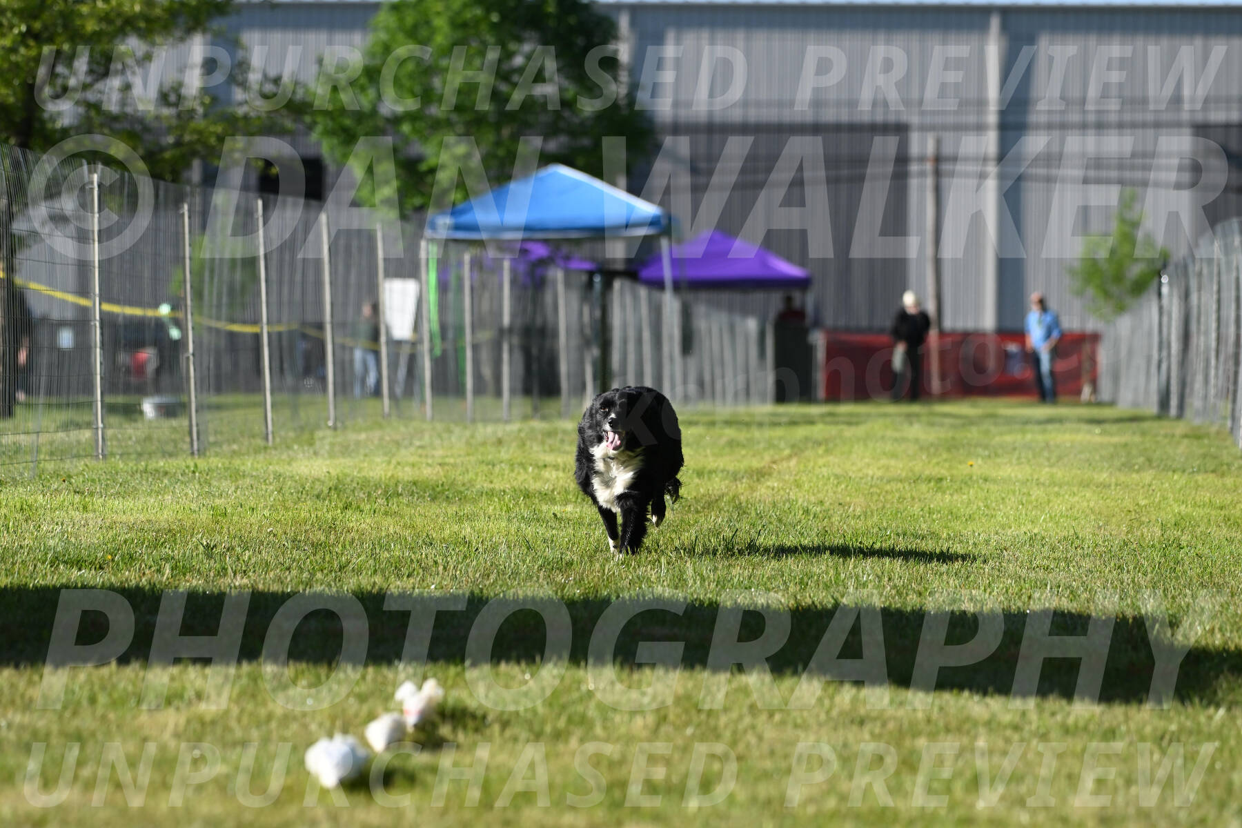 SUN_0056