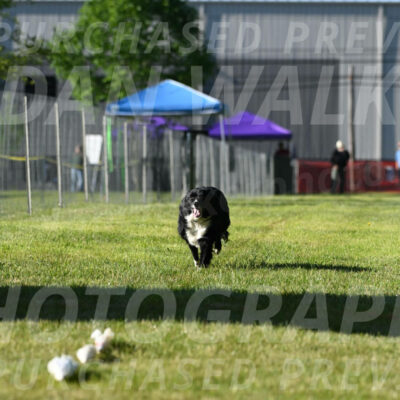 SUN_0056