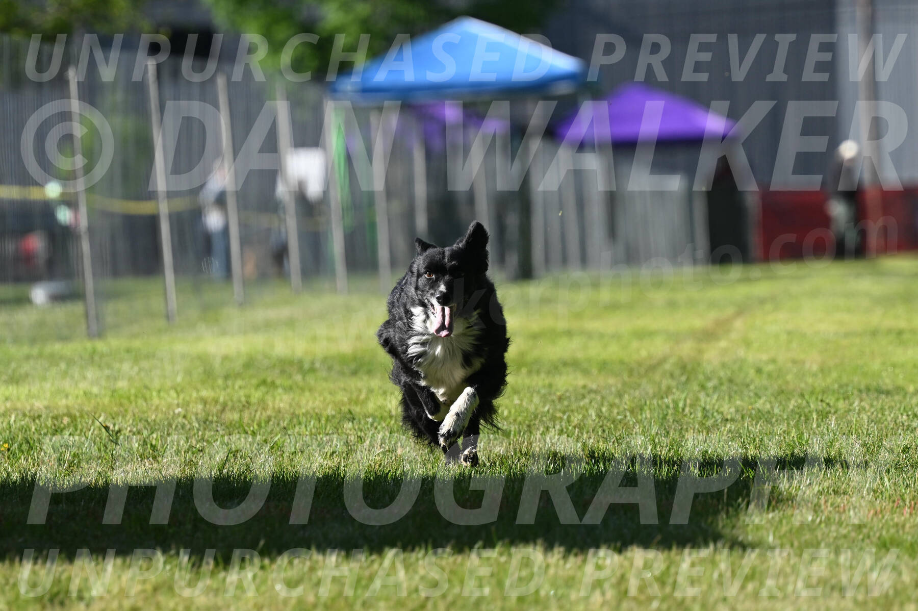 SUN_0370