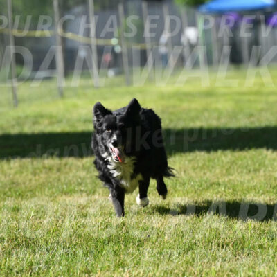 SUN_0372