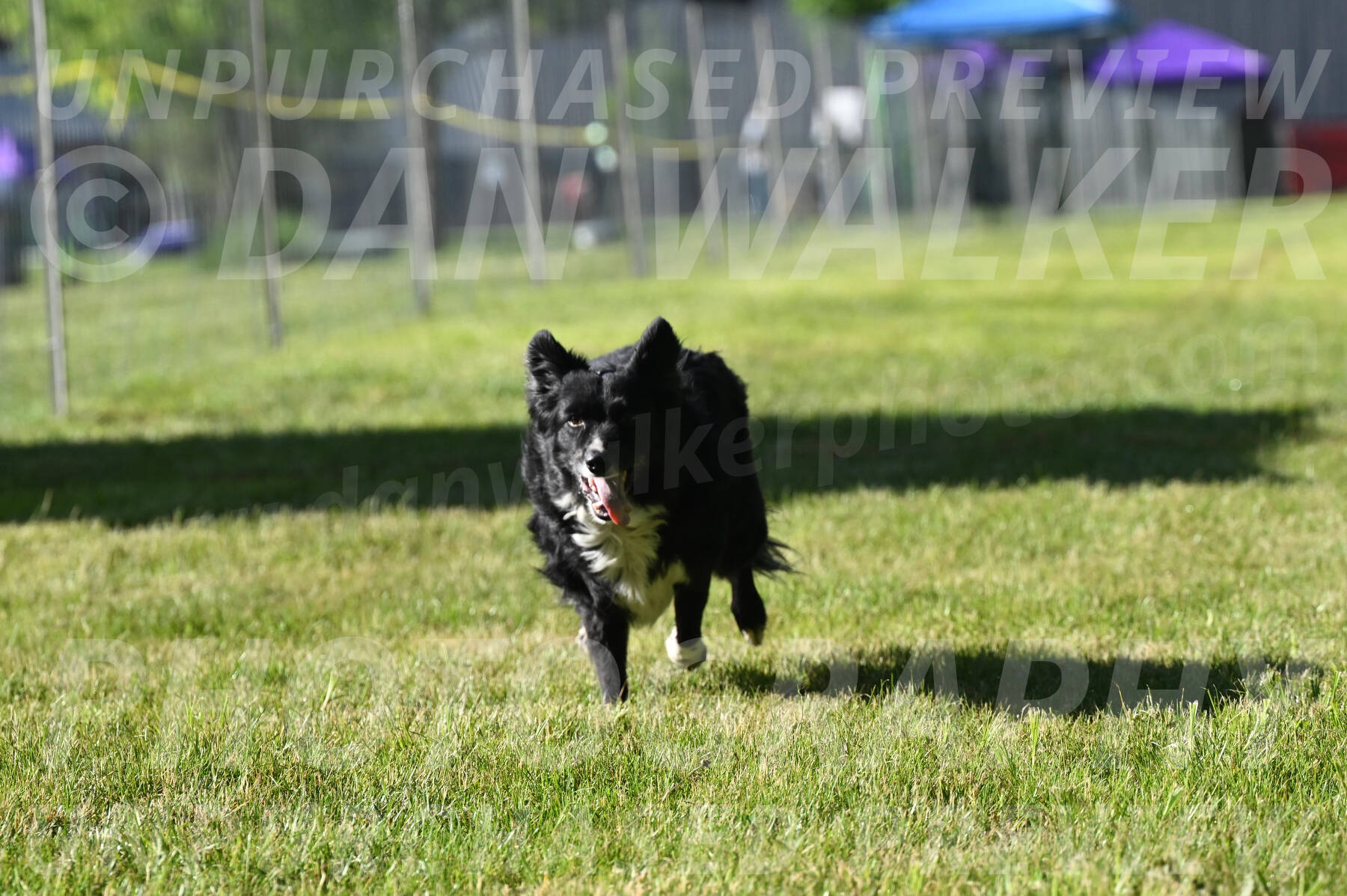 SUN_0372