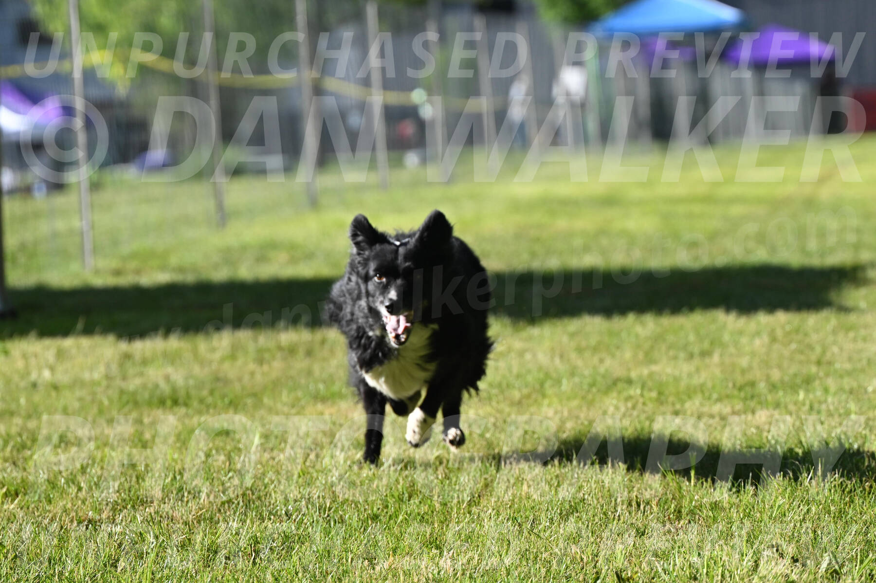 SUN_0373