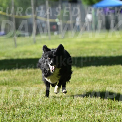 SUN_0373