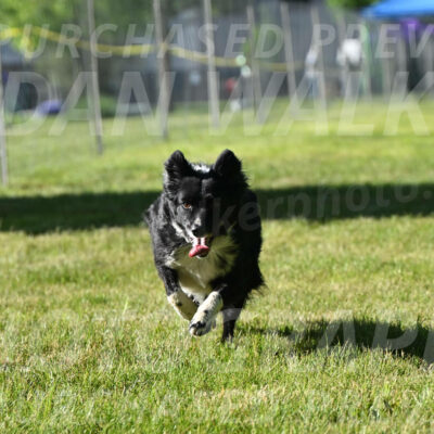 SUN_0374