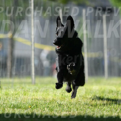 SUN_0176